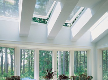 View All Windows & Skylights Services